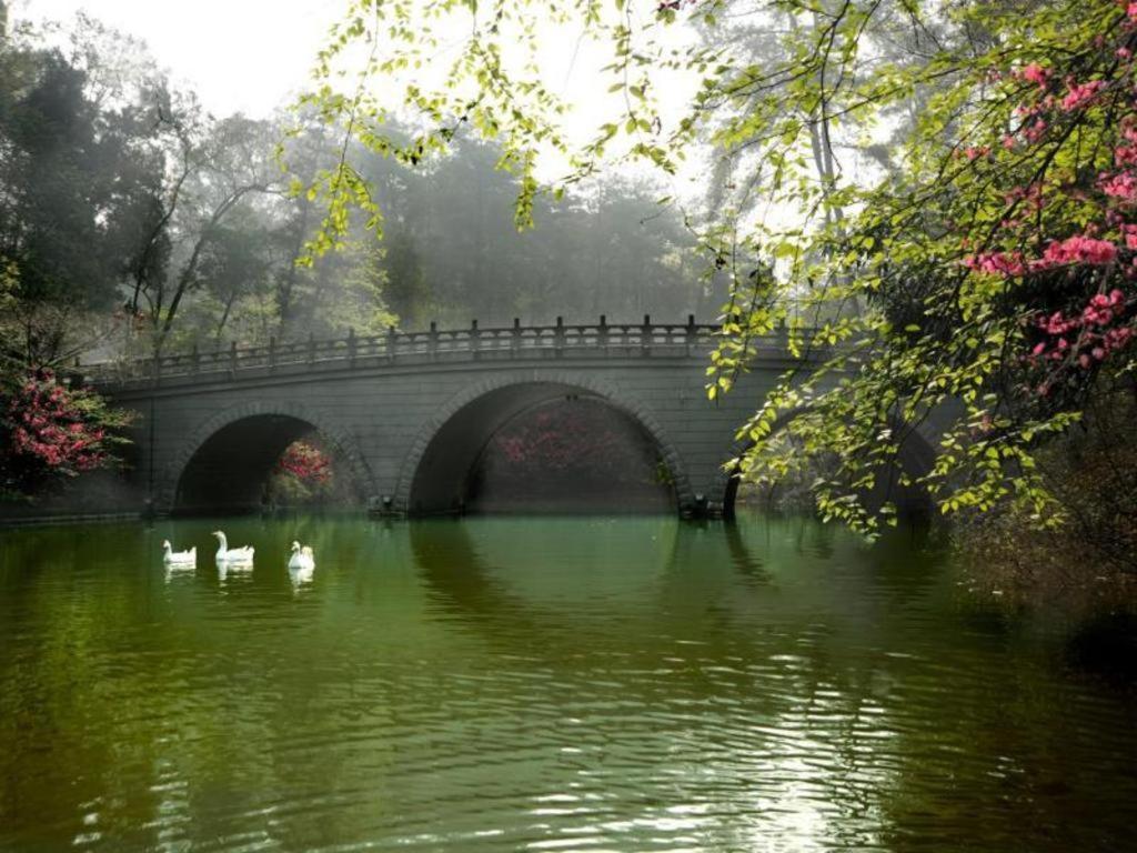 Hongzhushan Hotel Mount Emei Leshan Exterior foto
